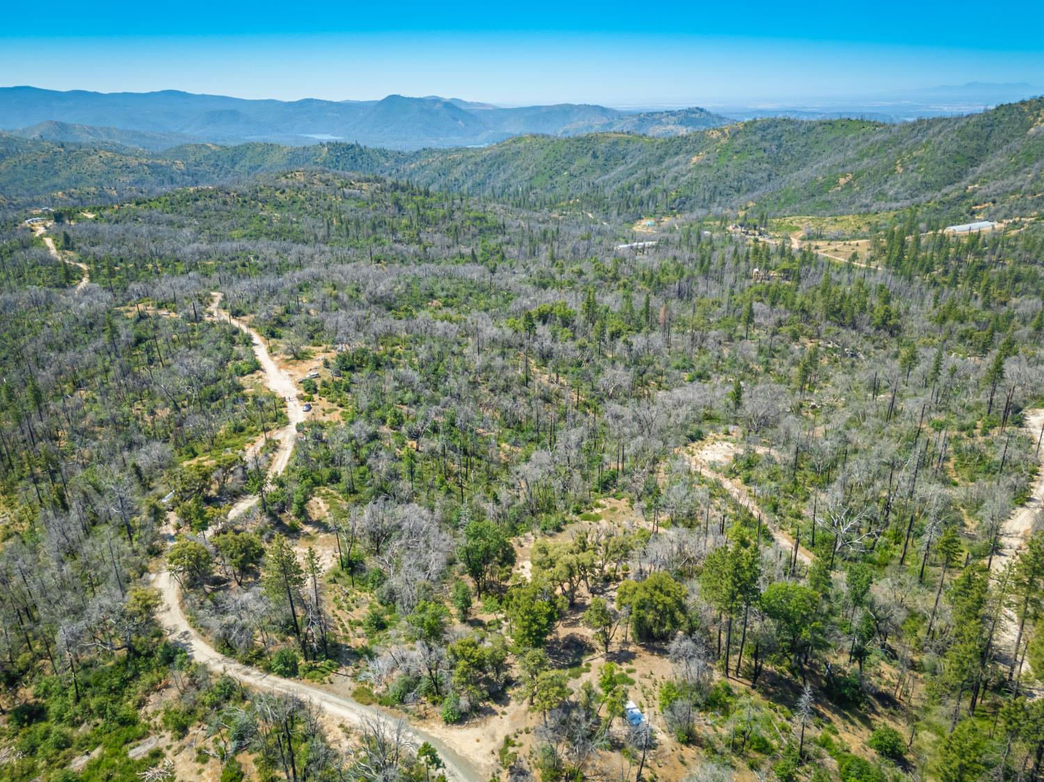 Possum Lane, Berry Creek, California image 12