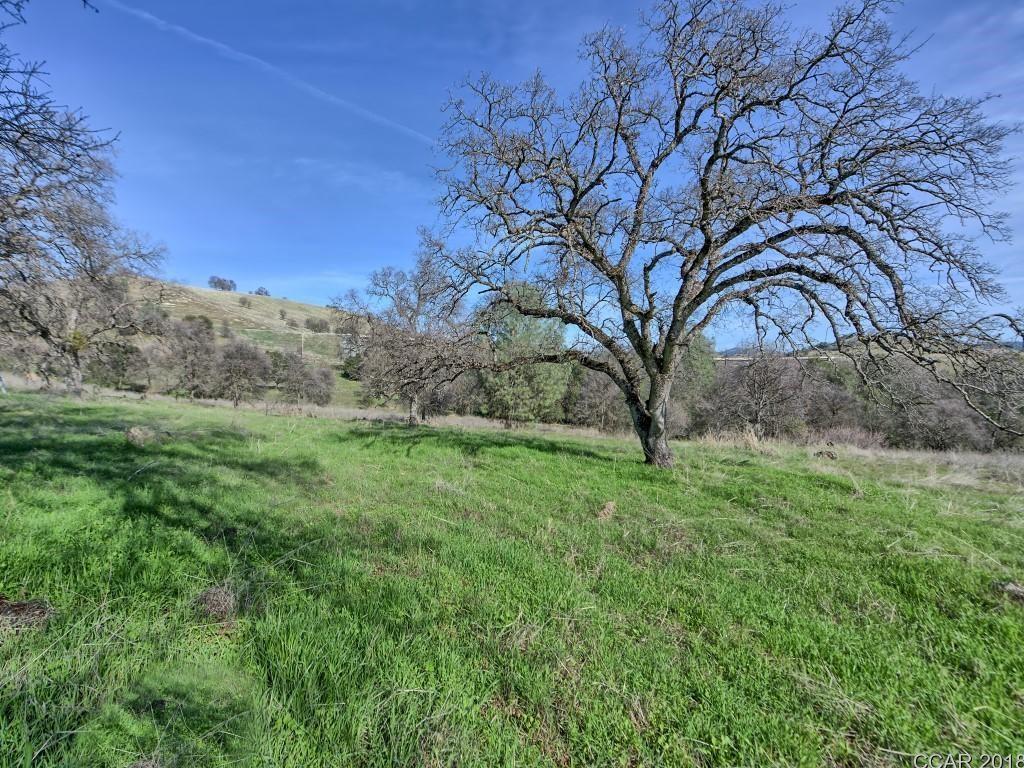Murphys Grade Road, Angels Camp, California image 22