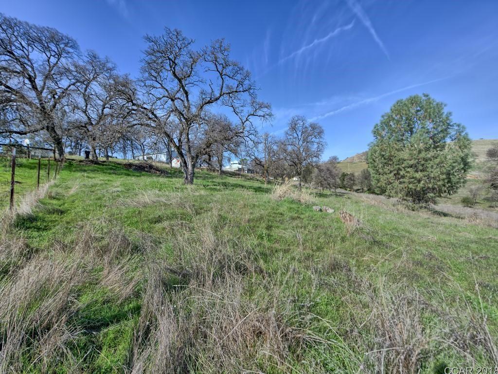 Murphys Grade Road, Angels Camp, California image 12