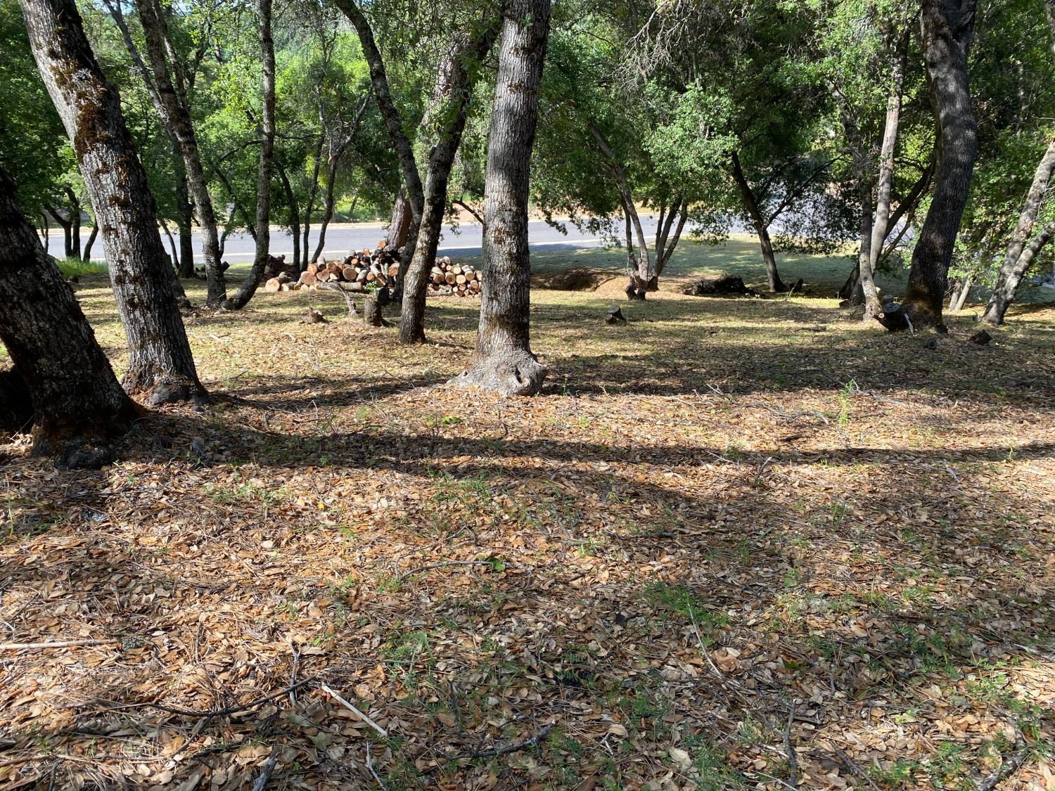 Mill Court, Angels Camp, California image 12