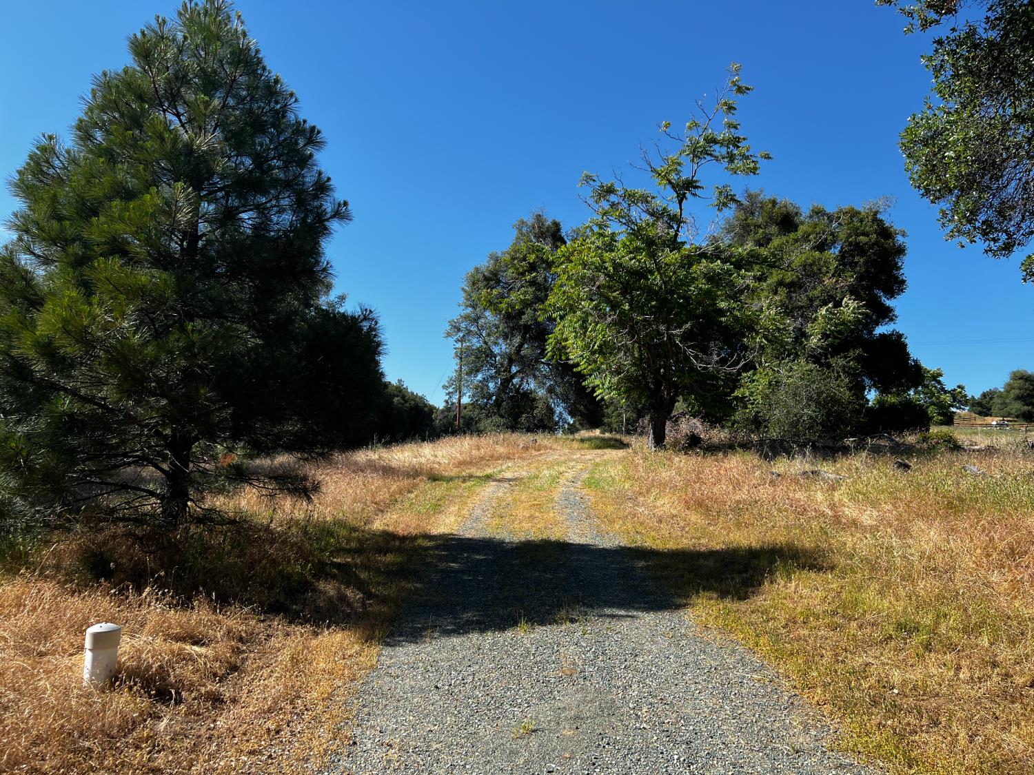 La Mesa Lane, Somerset, California image 3