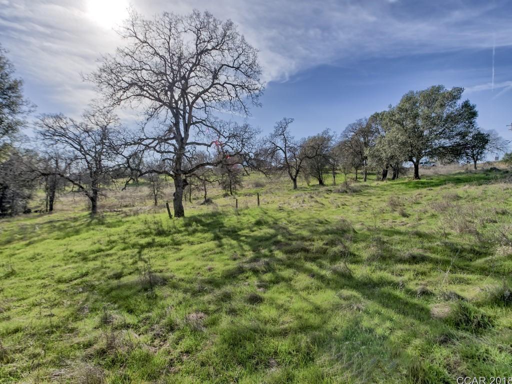 Murphys Grade Road, Angels Camp, California image 5