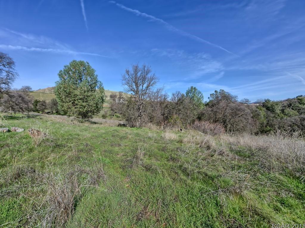 Murphys Grade Road, Angels Camp, California image 18