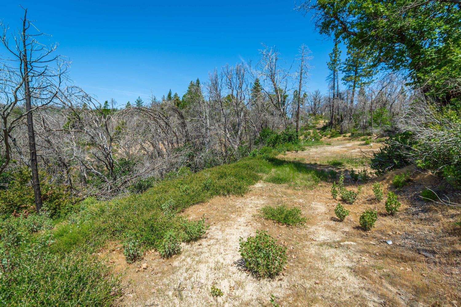 Detail Gallery Image 64 of 64 For 0 Possum Ln, Berry Creek,  CA 95916 - – Beds | – Baths
