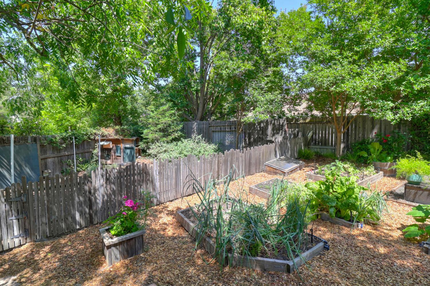 Atlantis Drive, Davis, California image 41