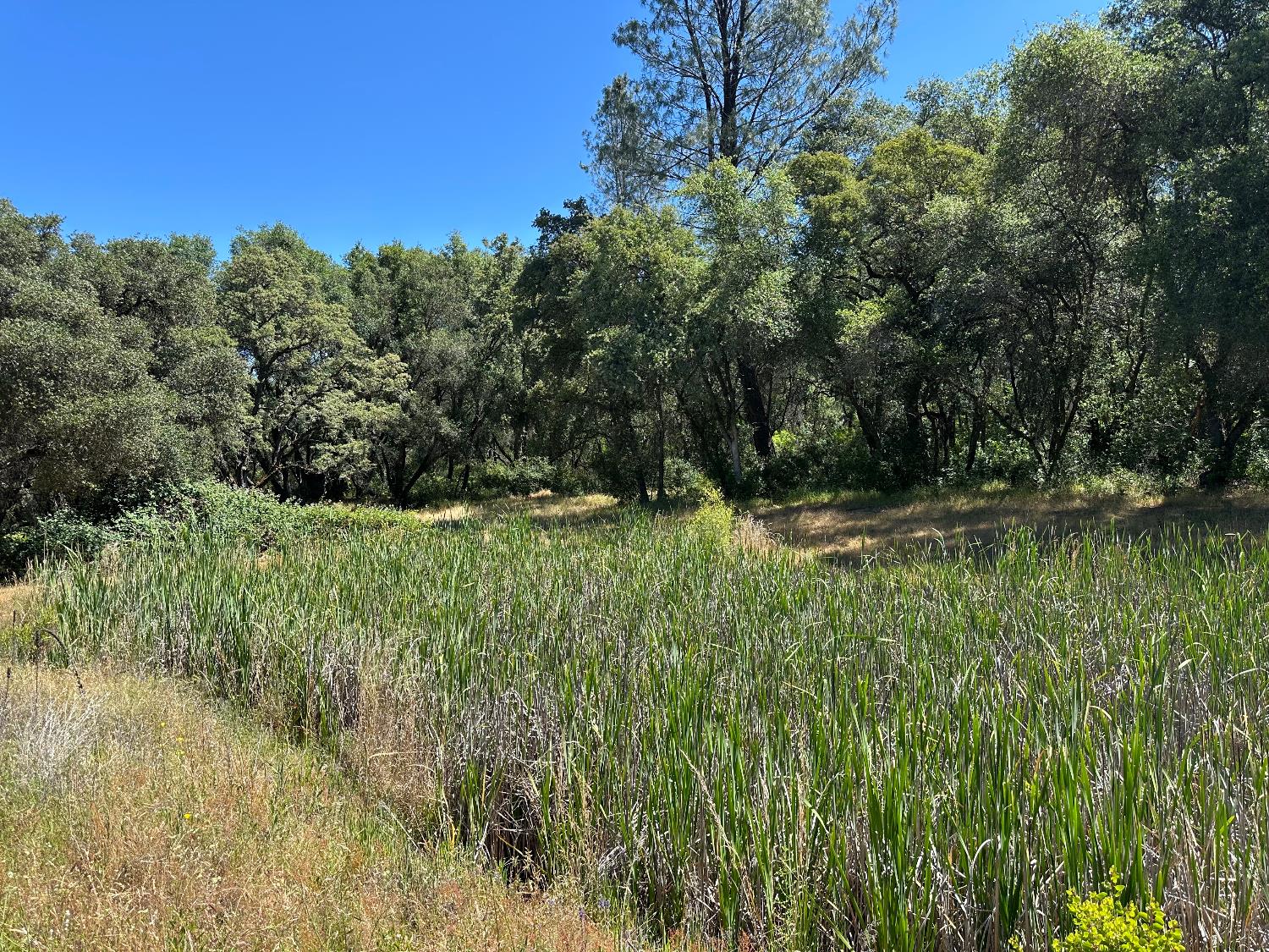 Perimeter Road, Grass Valley, California image 15