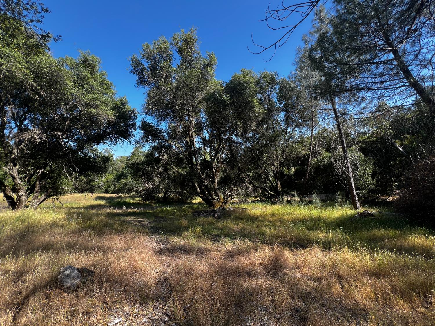 La Mesa Lane, Somerset, California image 12