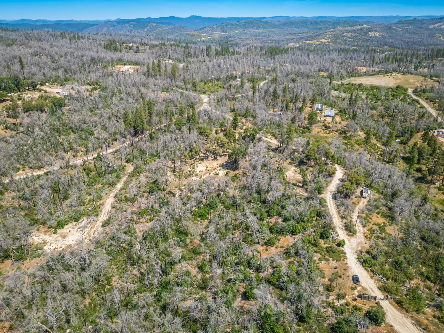 Possum Lane, Berry Creek, California image 3