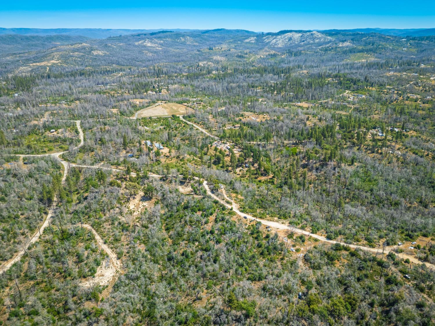 Possum Lane, Berry Creek, California image 31