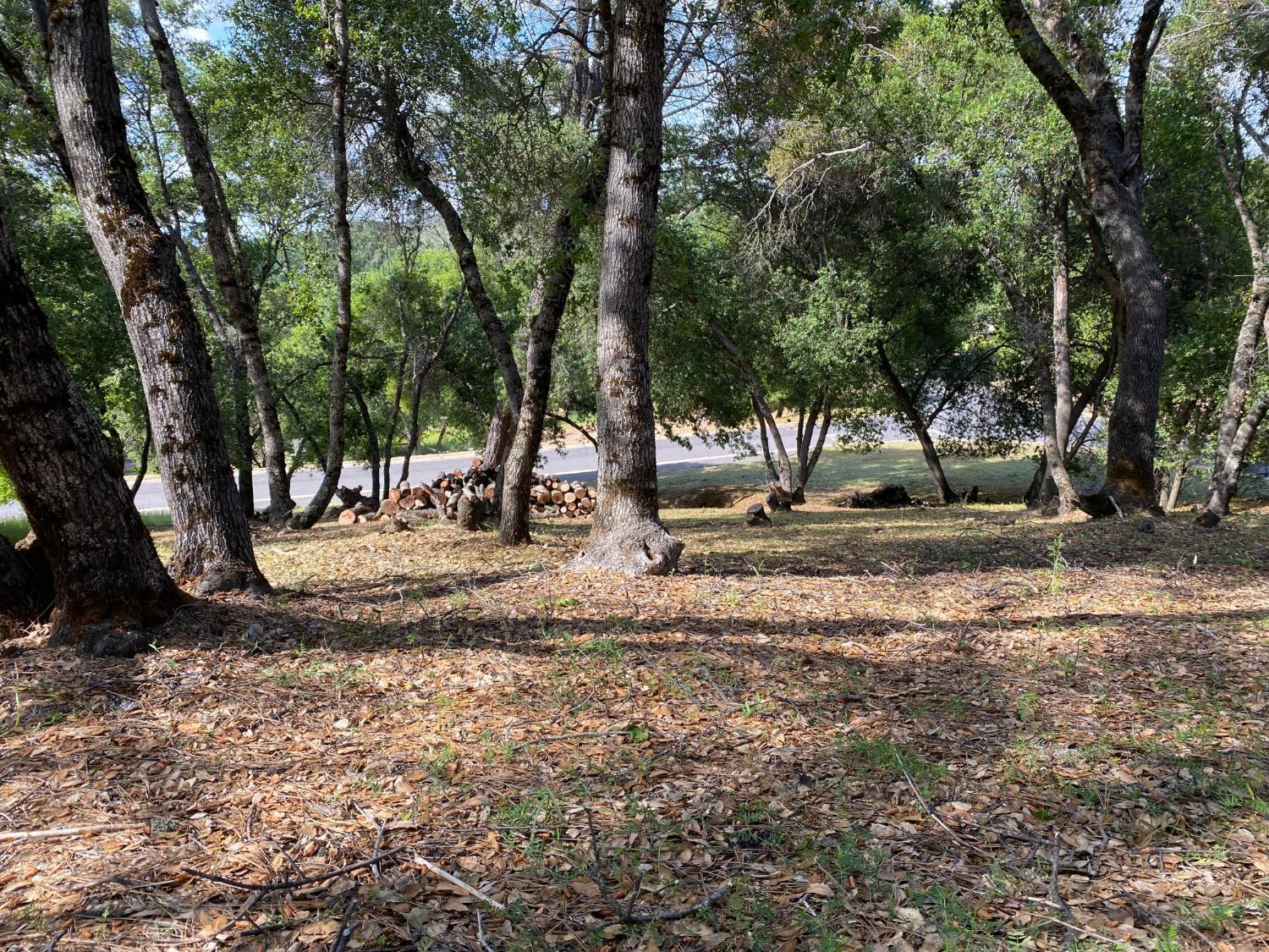 Mill Court, Angels Camp, California image 1