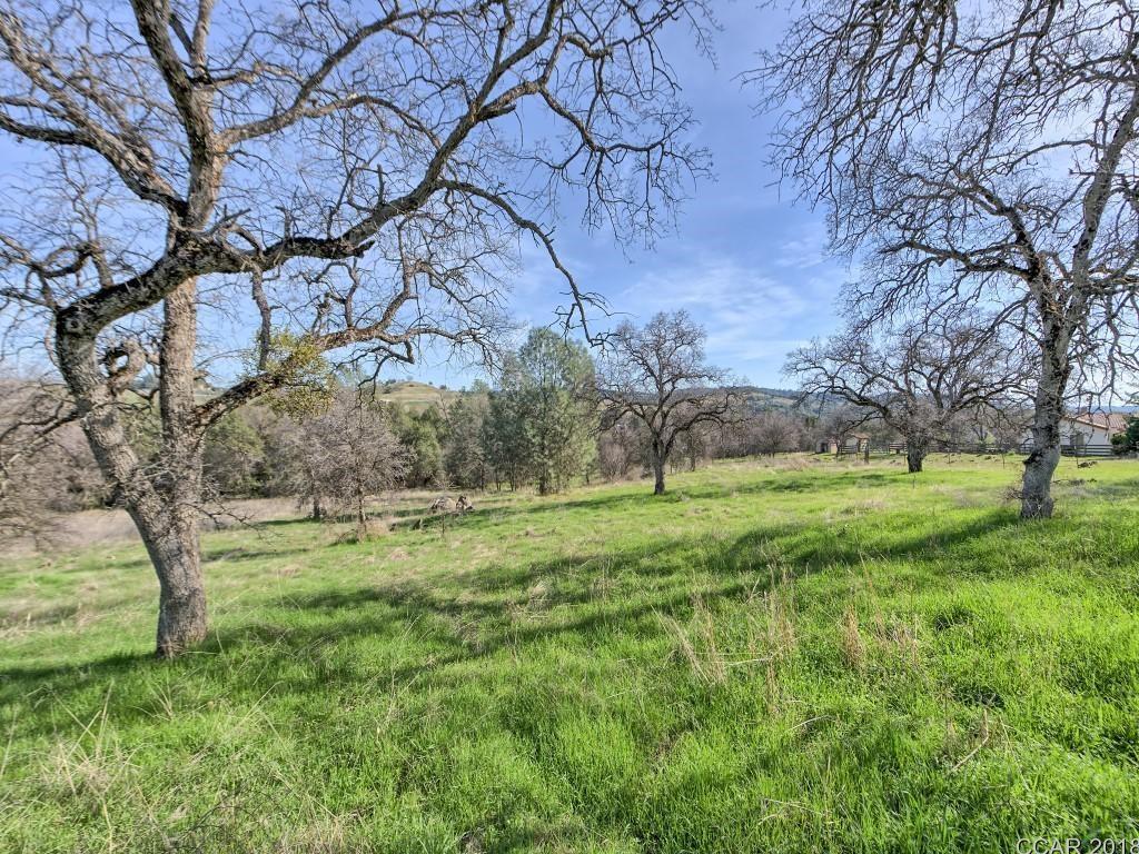 Murphys Grade Road, Angels Camp, California image 1