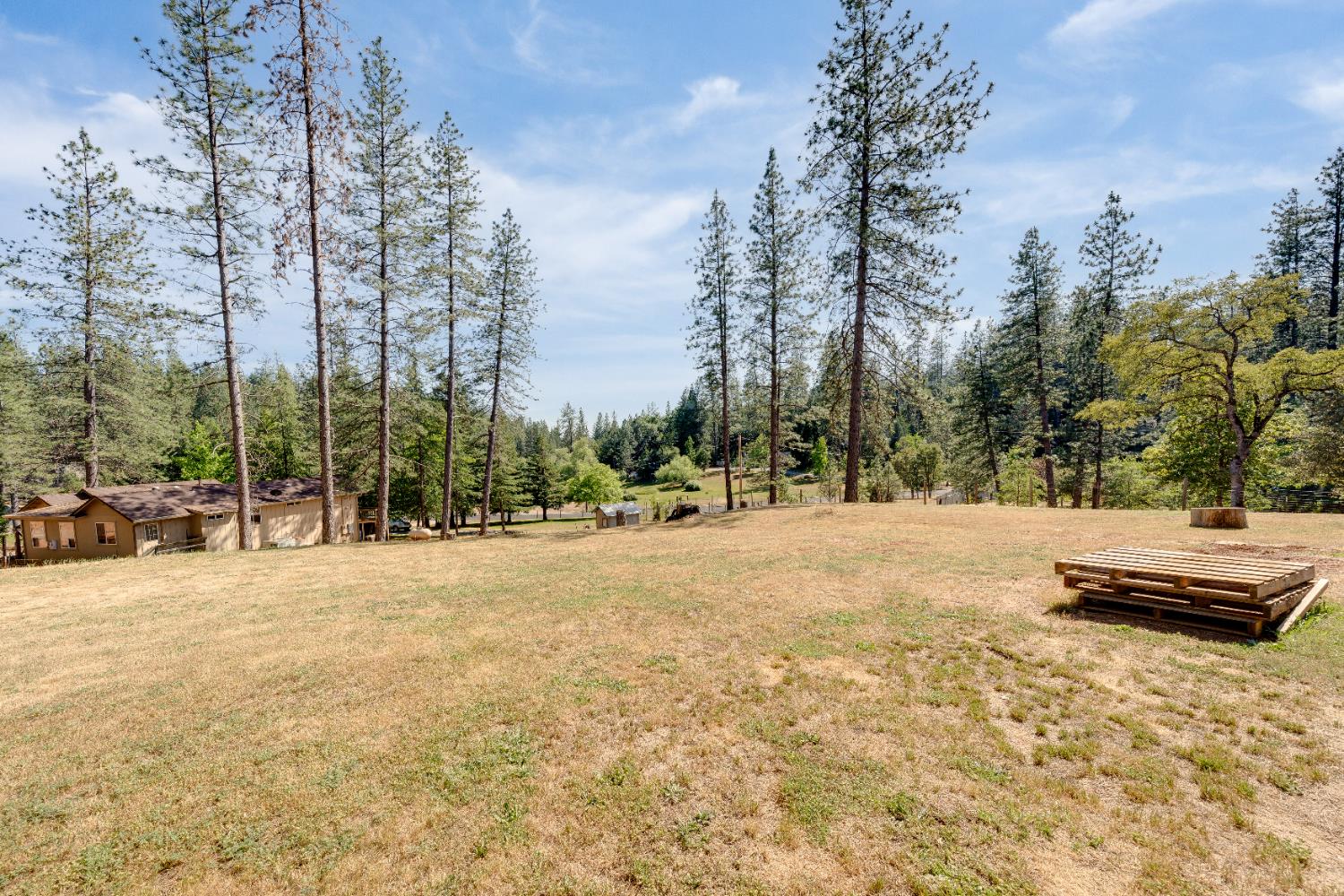 Birchwood Drive, Foresthill, California image 28