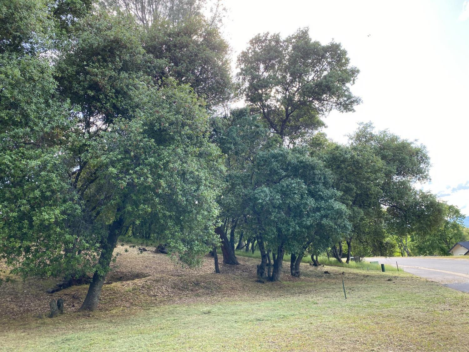 Mill Court, Angels Camp, California image 9
