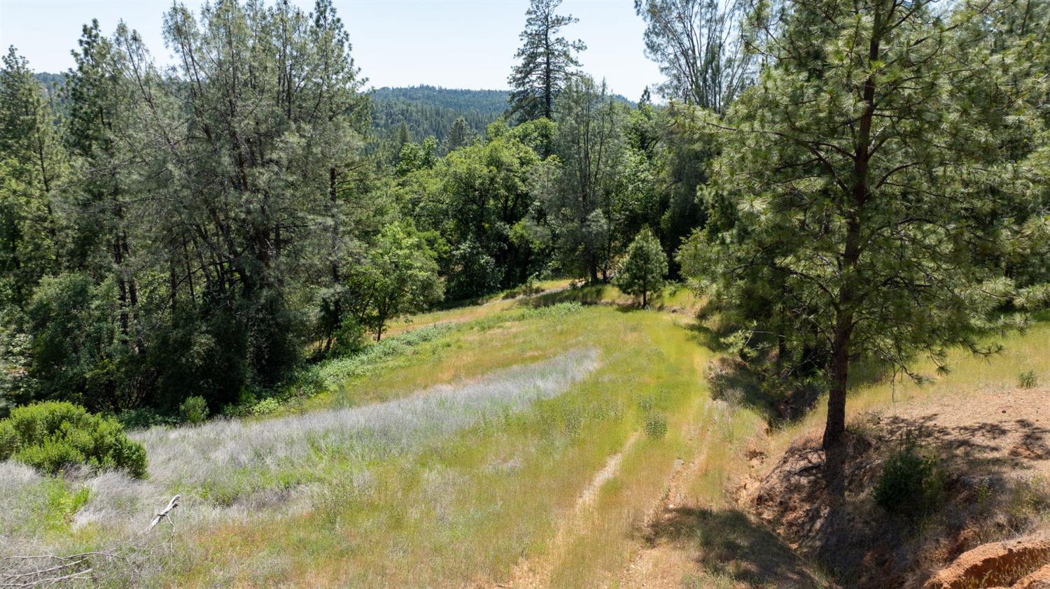Fullmoon Drive, Placerville, California image 25