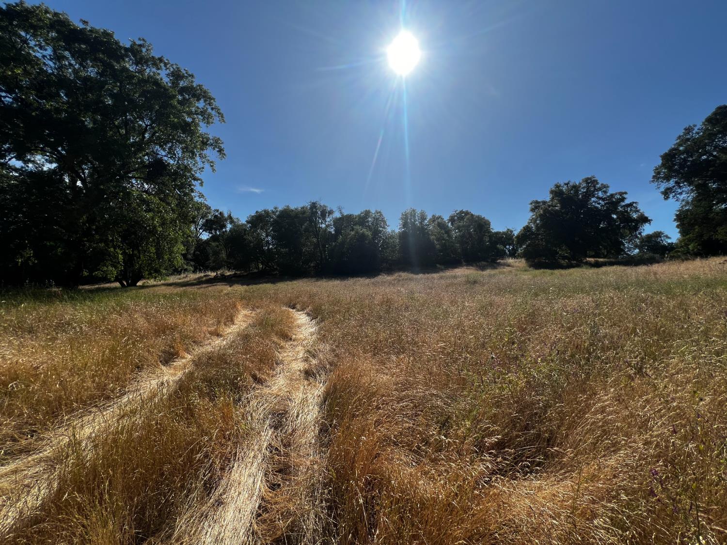 La Mesa Lane, Somerset, California image 23