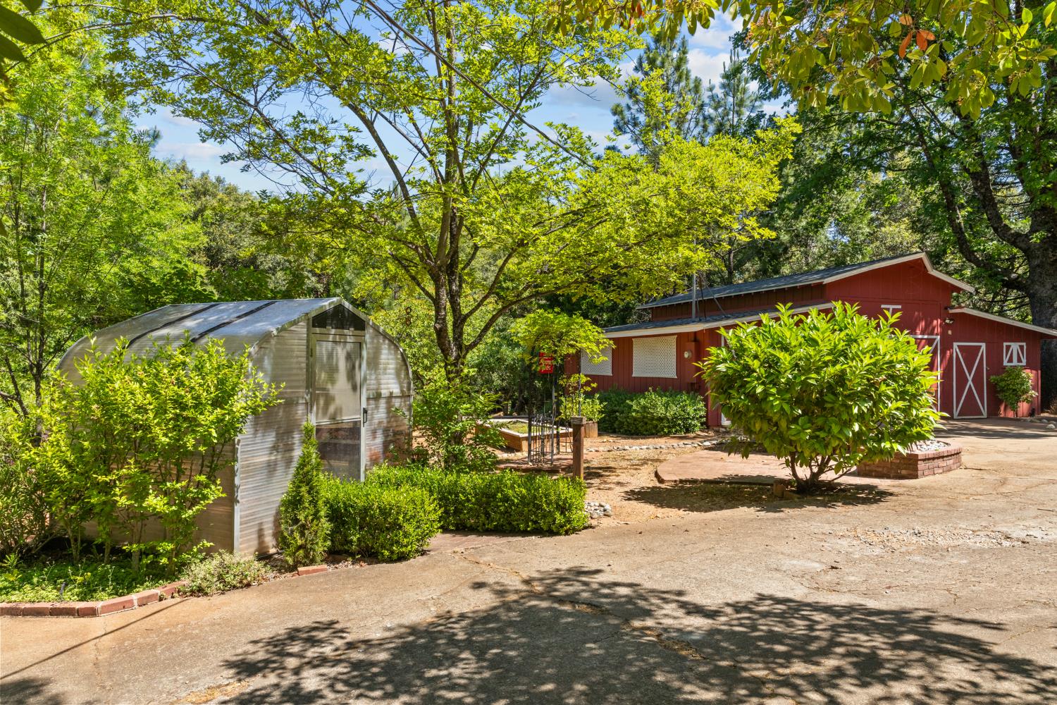 Margot Lane, Pine Grove, California image 47