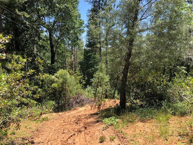 Fullmoon Drive, Placerville, California image 19
