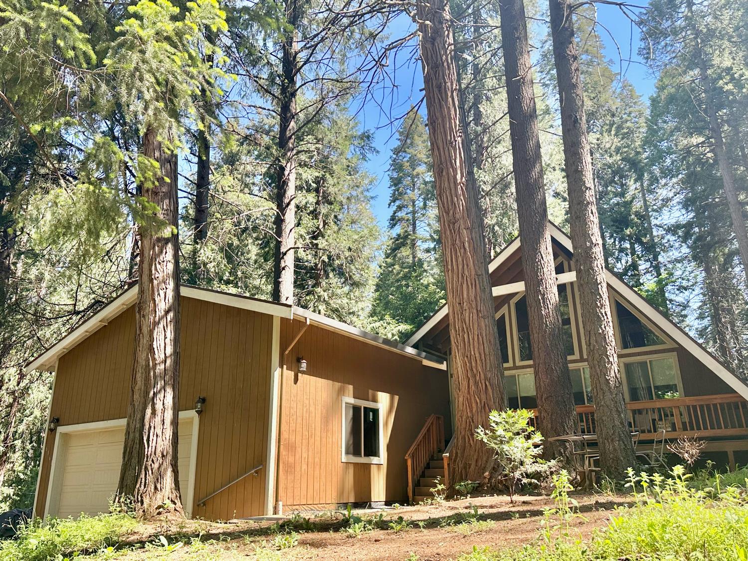 Bucktail, Pollock Pines, California image 1