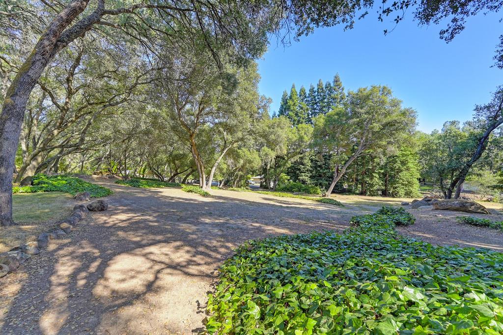 Shady Creek Lane, Granite Bay, California image 47