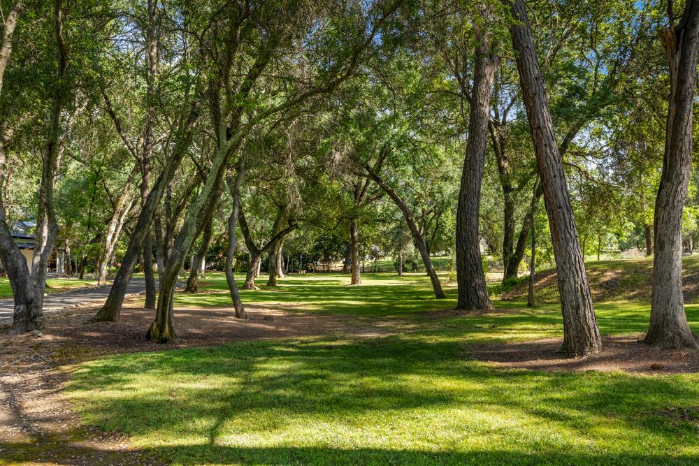 Oakridge Drive, Loomis, California image 40
