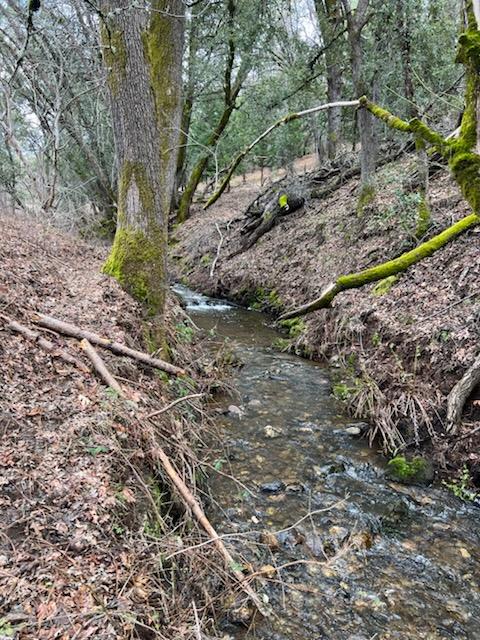 Starlight Lane, Mountain Ranch, California image 12