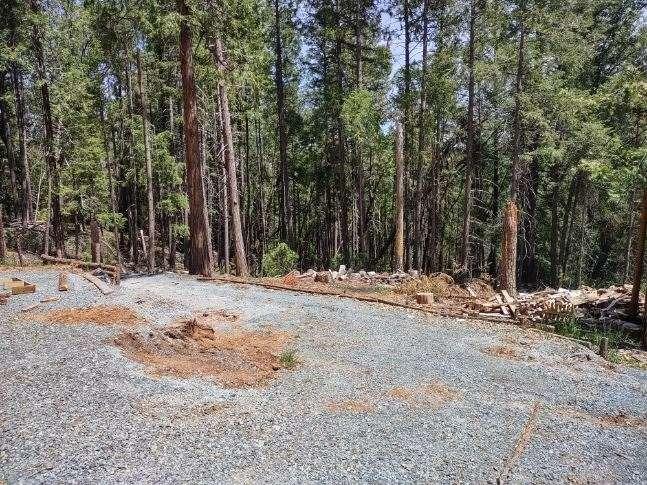 D Buffalo Hill Road, Georgetown, California image 5