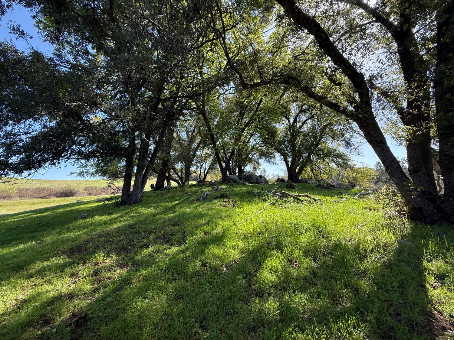 Fairplay Road, Somerset, California image 4