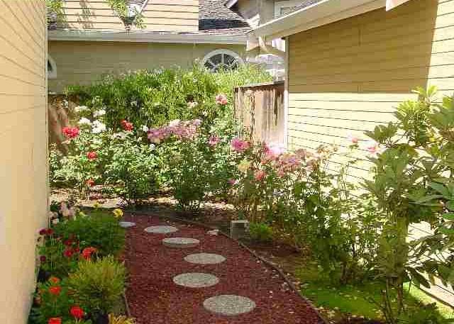Springview Circle, San Ramon, California image 7