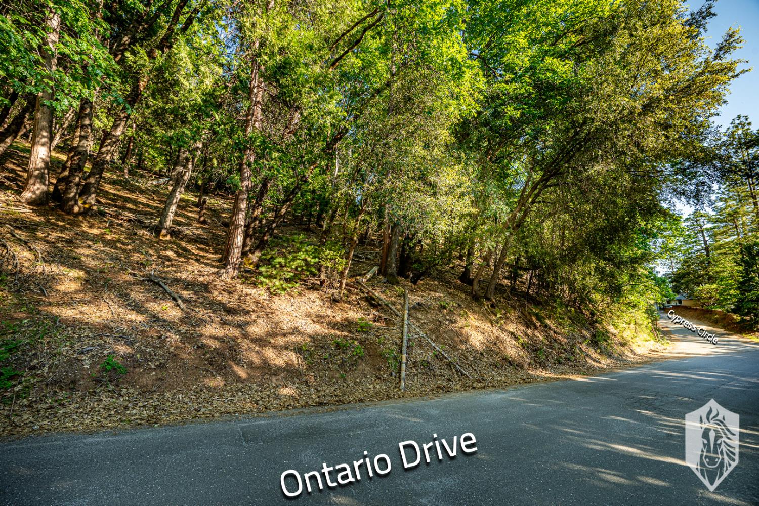 Ontario Drive, Twain Harte, California image 1