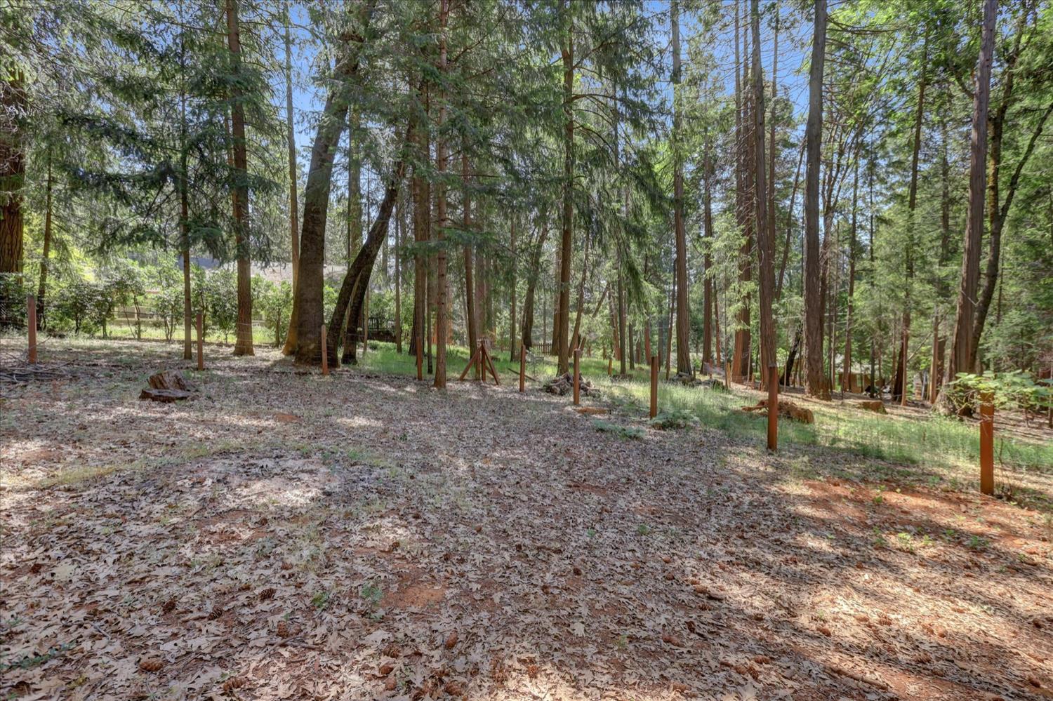 Moonrise Court, Nevada City, California image 49