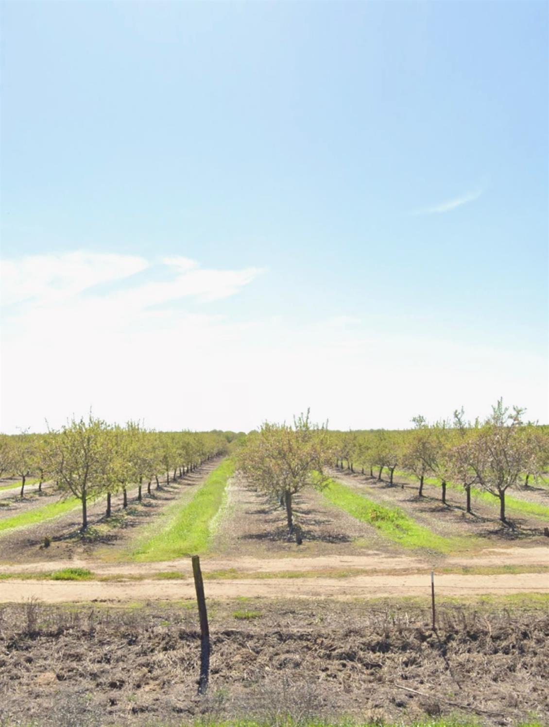 Buchanan Hollow Road, Le Grand, California image 4
