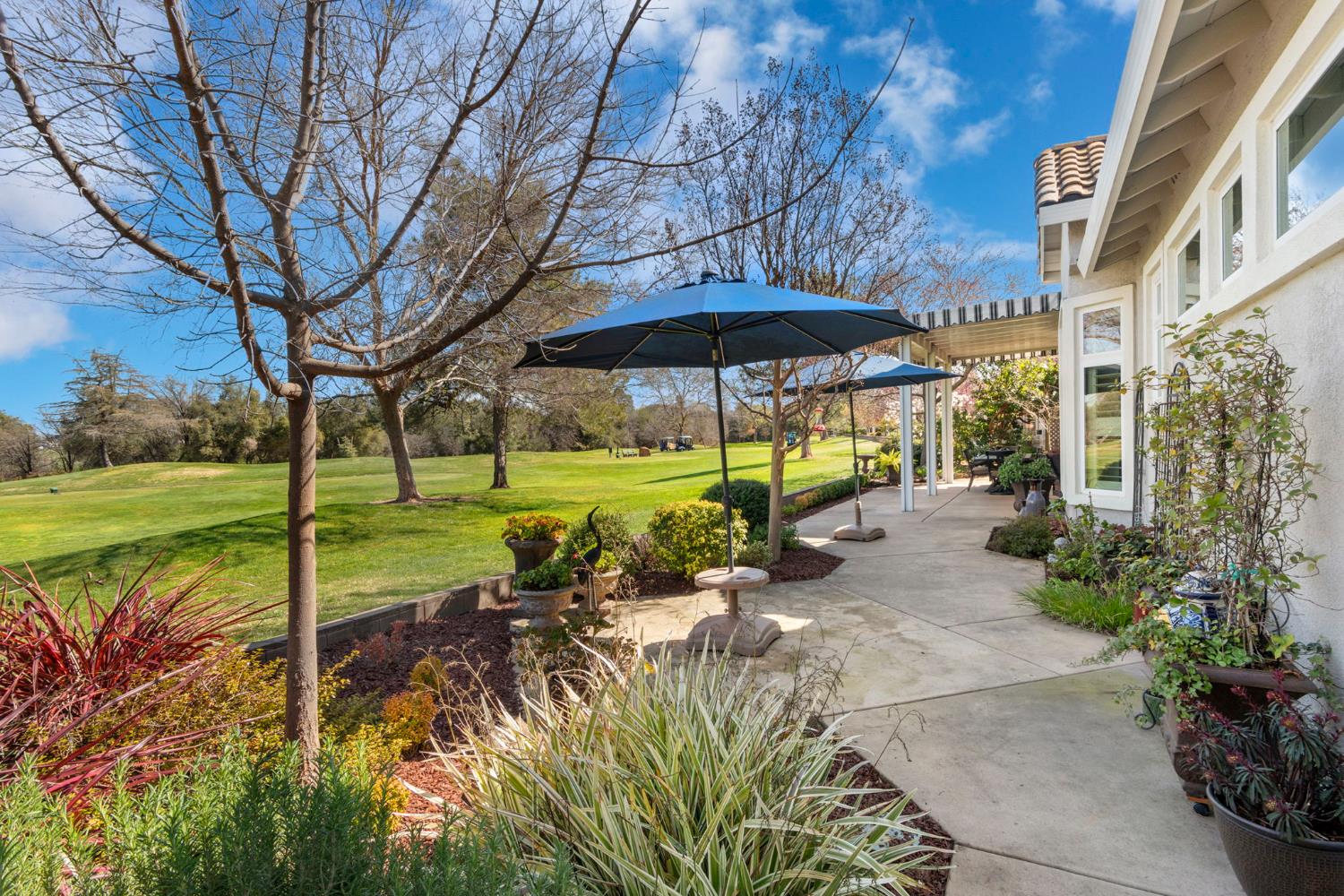 Firefly Green, Roseville, California image 20