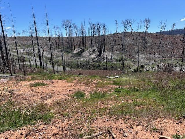 Deertrack Court, Grizzly Flats, California image 6