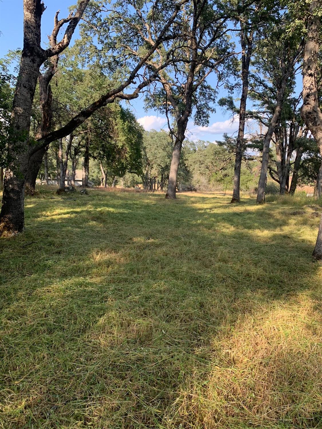 Kelso Court, Auburn, California image 17