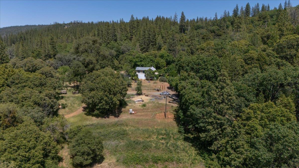 La Porte Road, Rackerby, California image 45