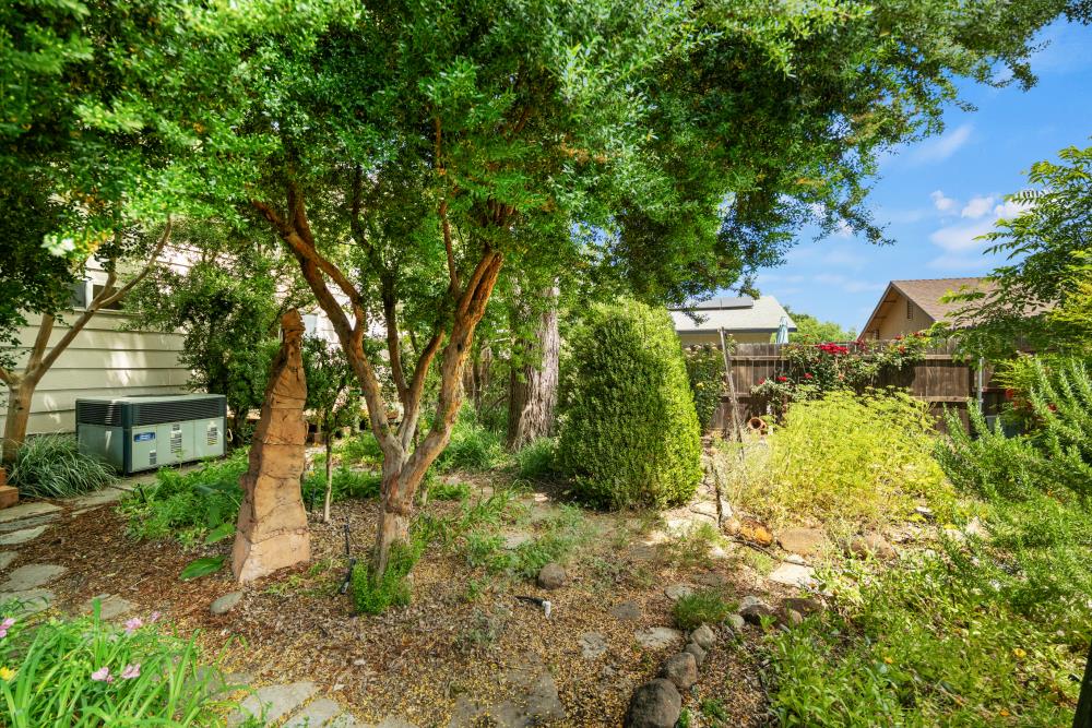 Boxwood Road, Woodland, California image 41