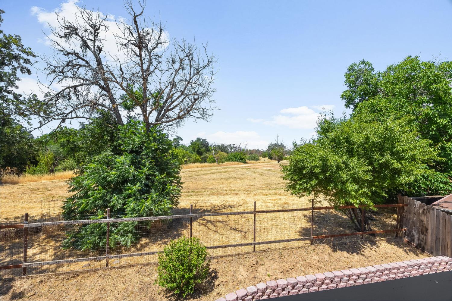 Dry Creek Lane, Winters, California image 32
