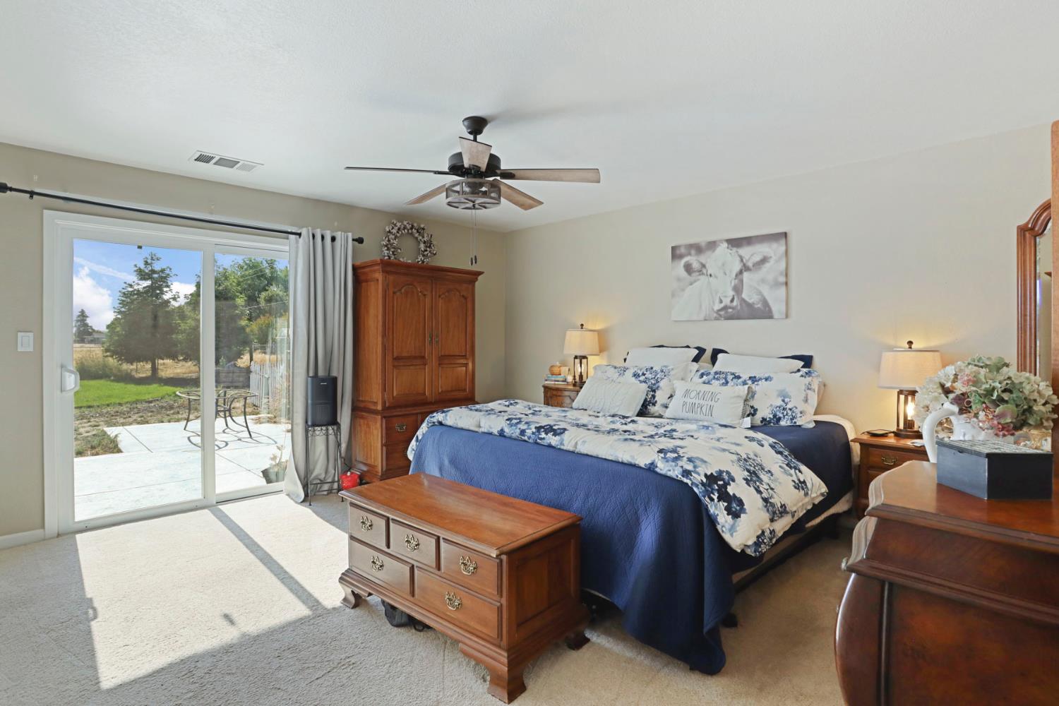 Tinnin Road, Manteca, California image 32