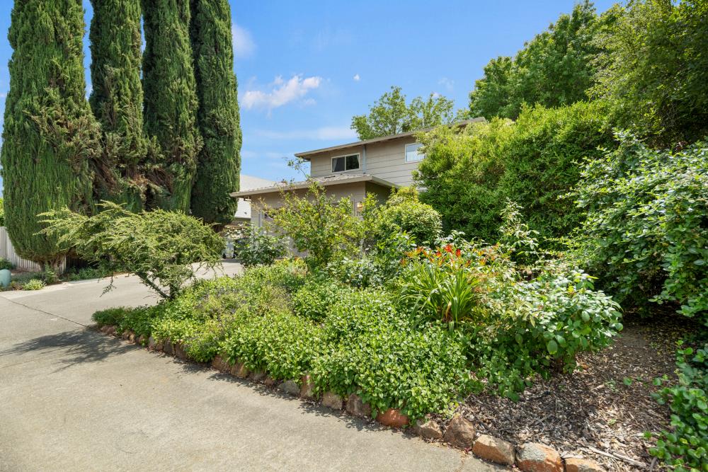 Boxwood Road, Woodland, California image 3