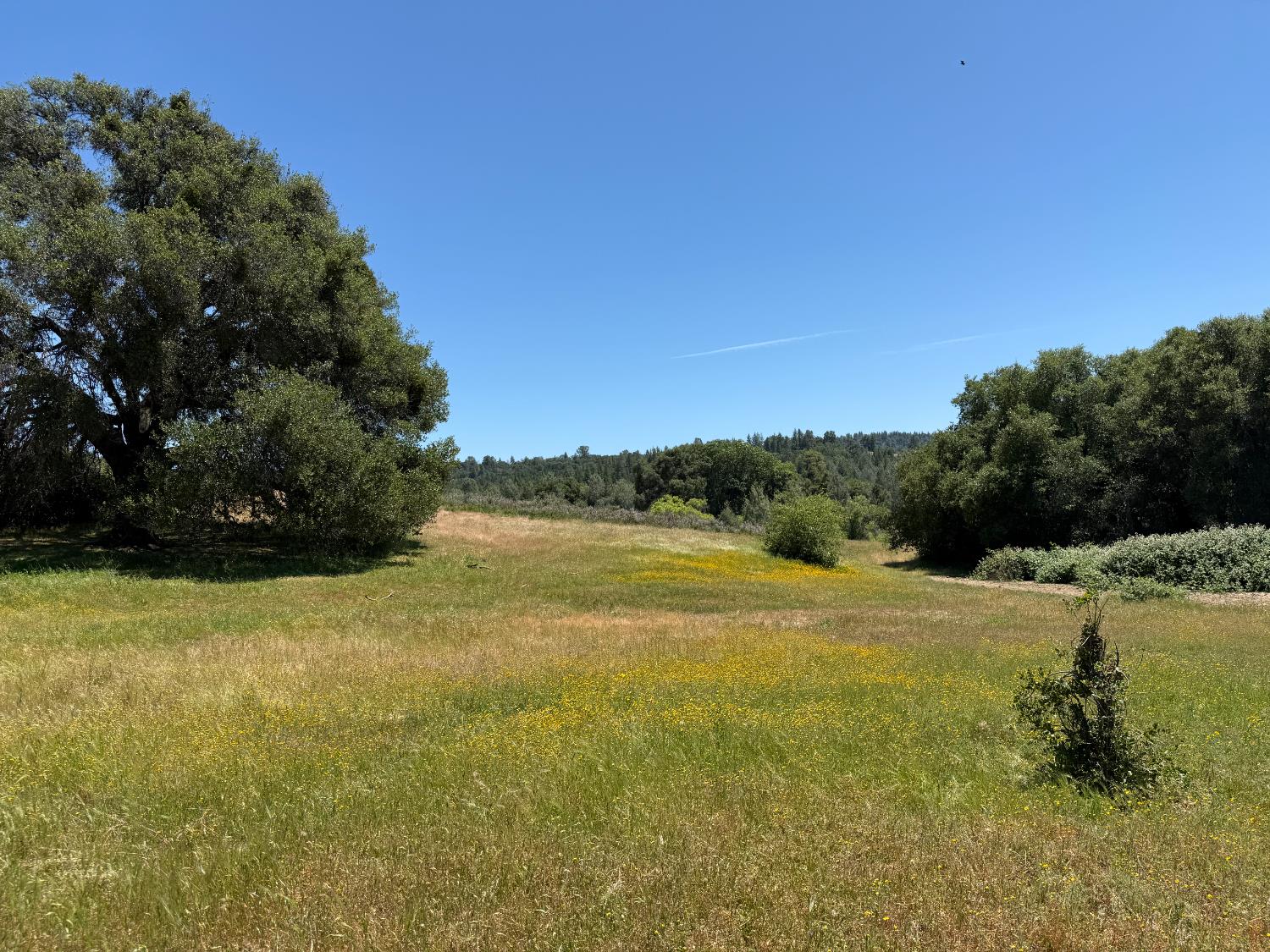 Fairplay Road, Somerset, California image 12