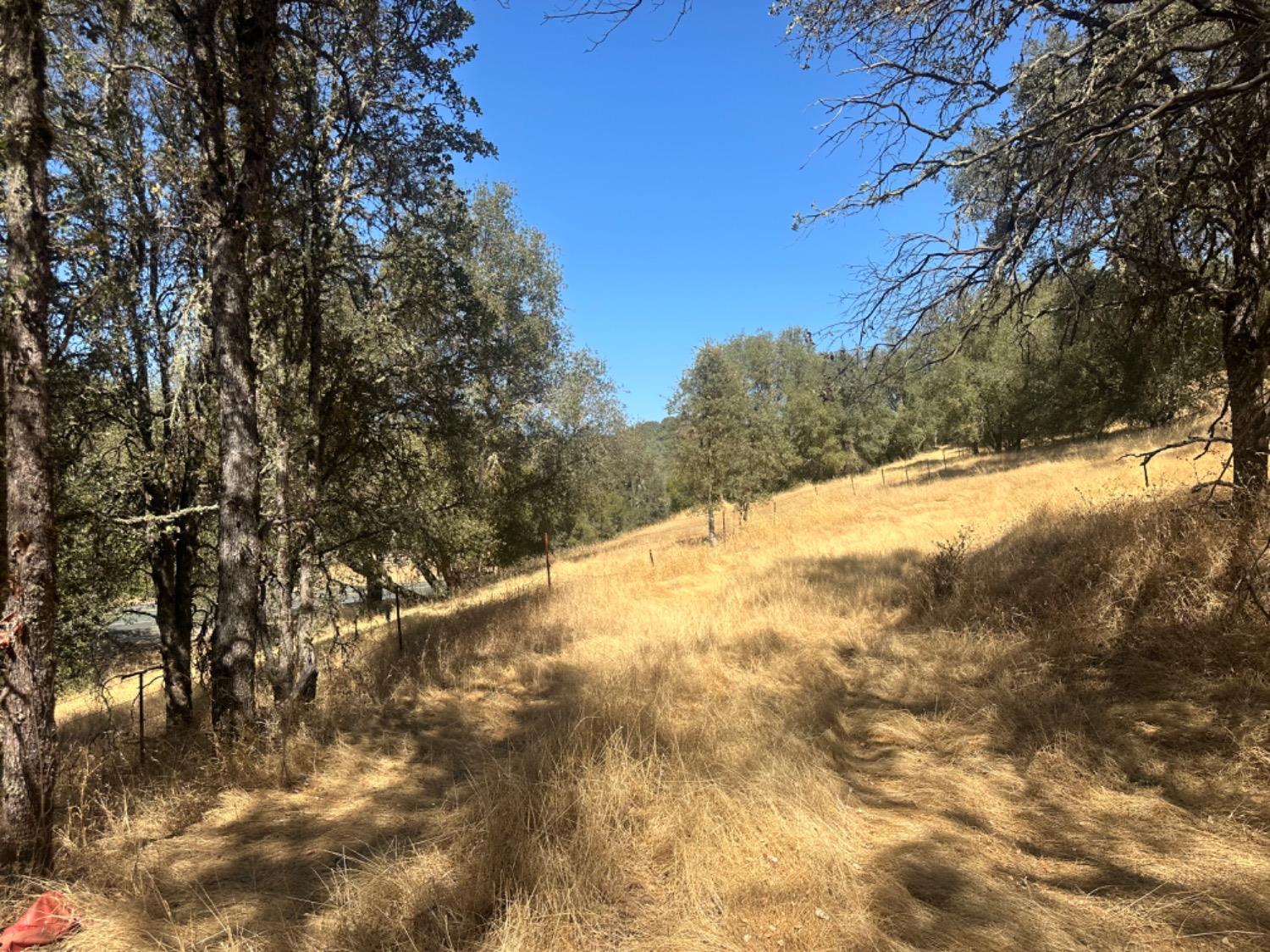 Highway 49, Mokelumne Hill, California image 16