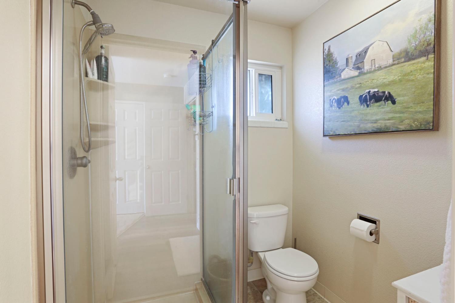 Tinnin Road, Manteca, California image 34