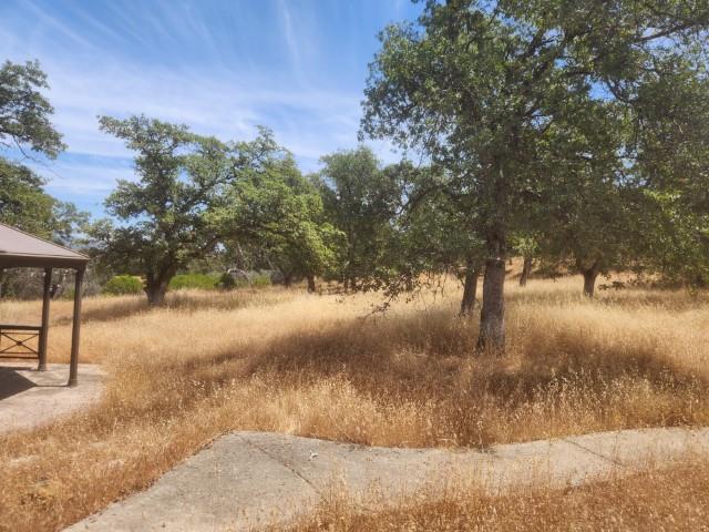 Sunnyhill Road, Bangor, California image 9