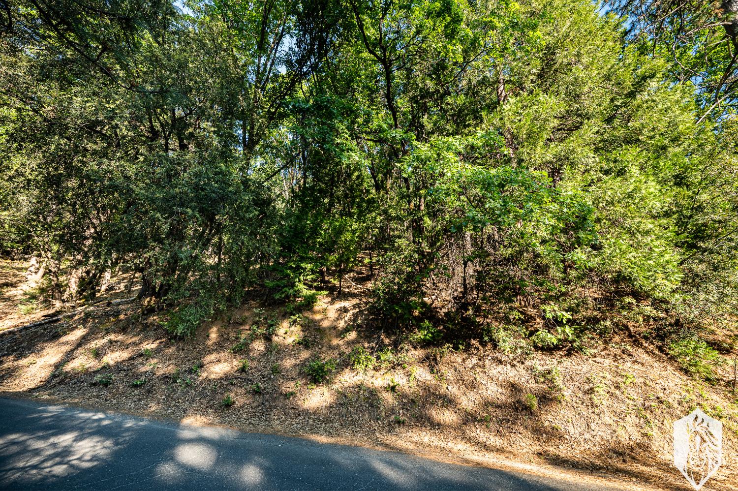 Ontario Drive, Twain Harte, California image 13