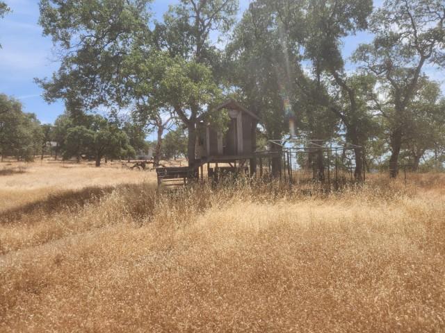 Sunnyhill Road, Bangor, California image 10