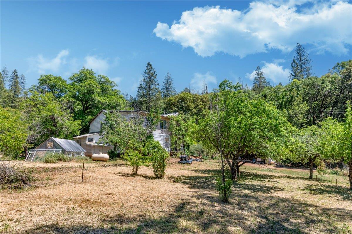 La Porte Road, Rackerby, California image 31
