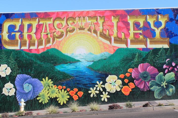 Wilson Street, Grass Valley, California image 5