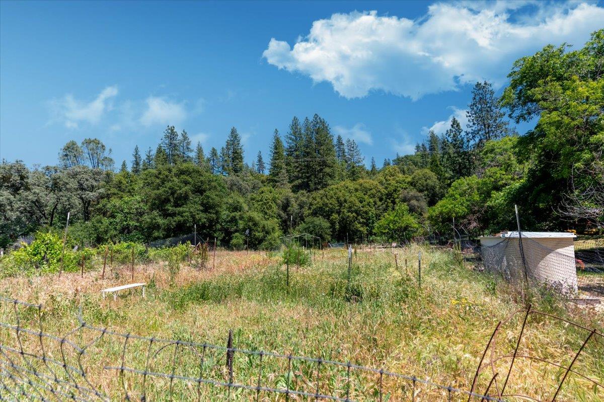 La Porte Road, Rackerby, California image 33