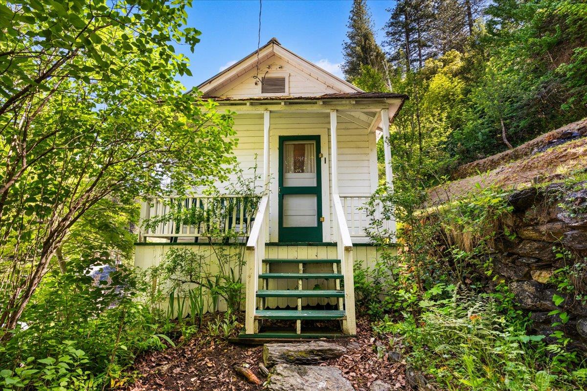 Pearl Street, Downieville, California image 21