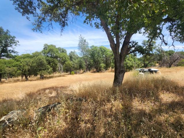 Sunnyhill Road, Bangor, California image 5